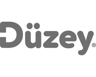 Düzey